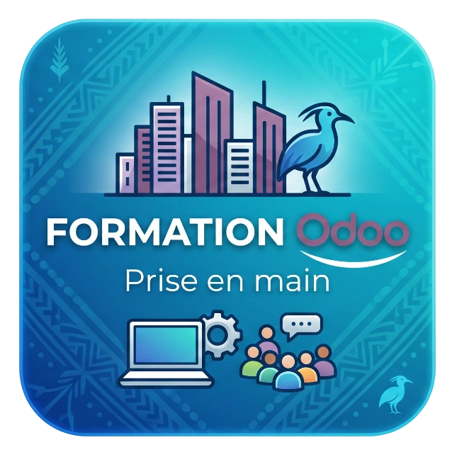 PRISE EN MAIN Odoo