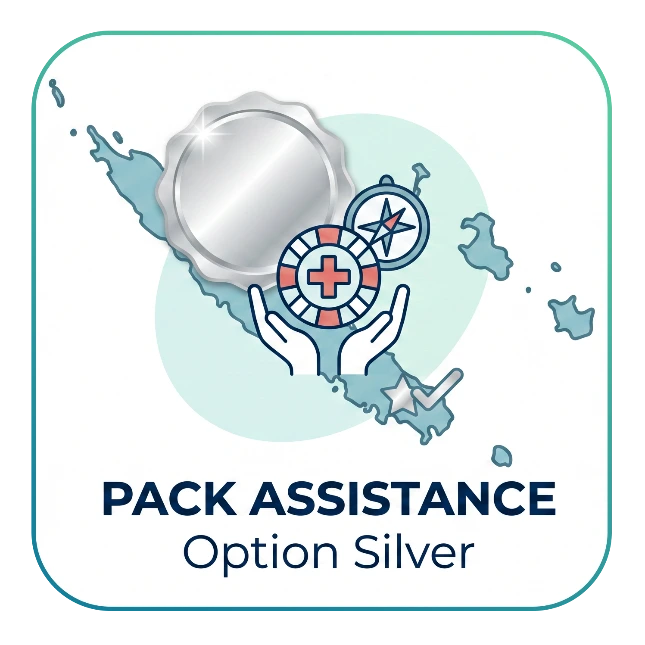 PACK SILVER